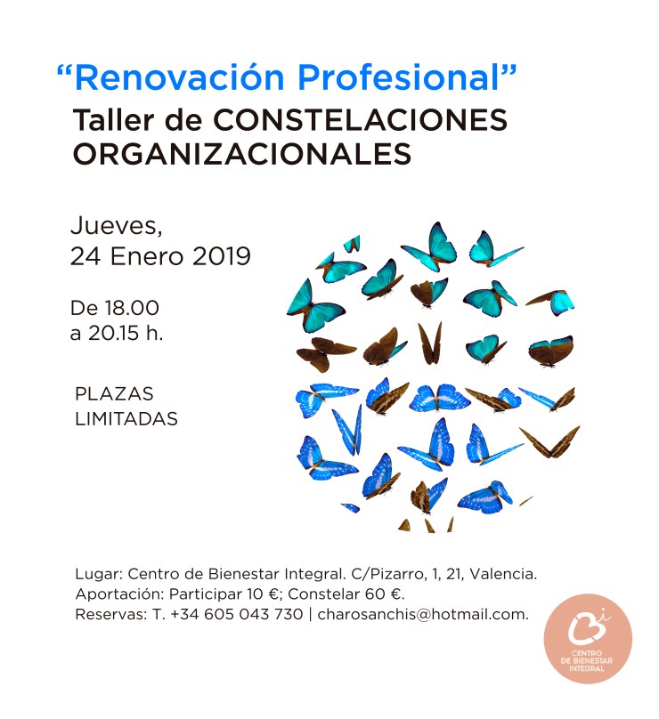 Taller_Constelaciones_Organizacionales24Enero2019-01